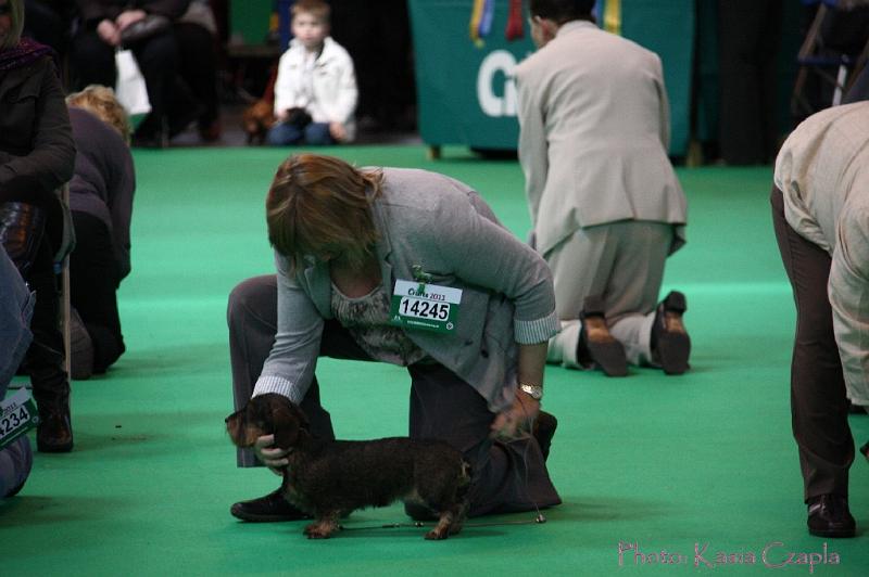 Crufts2011_2 1282.jpg